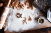 Weihnachtsplätzchen